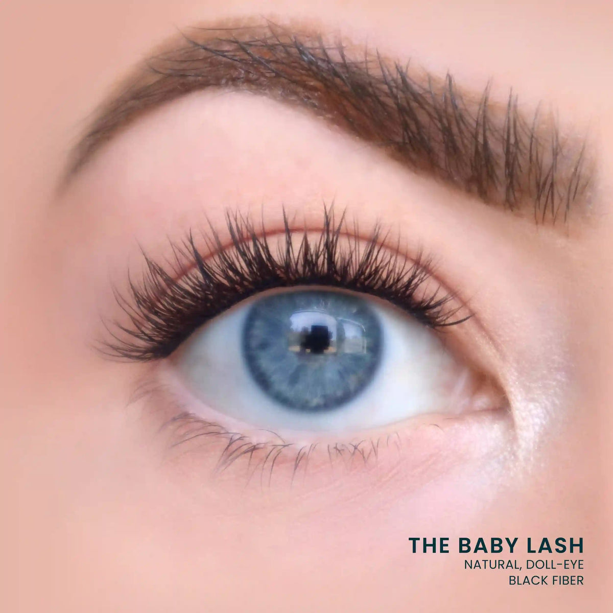 The Baby Lash