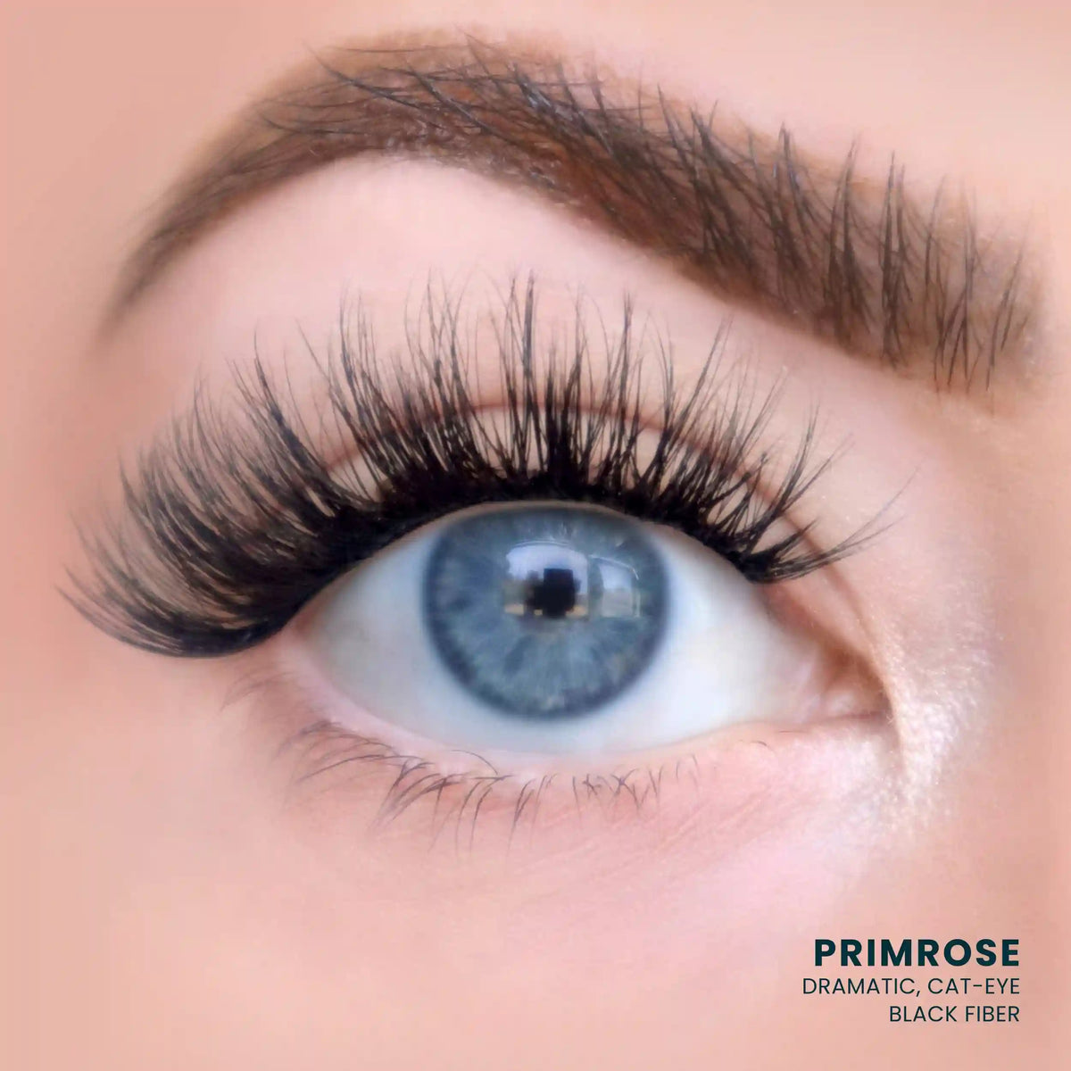 Primrose